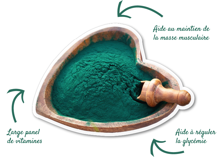 https://eivienature.rl2b.com/wp-content/uploads/2023/09/spiruline-fleches-1.png