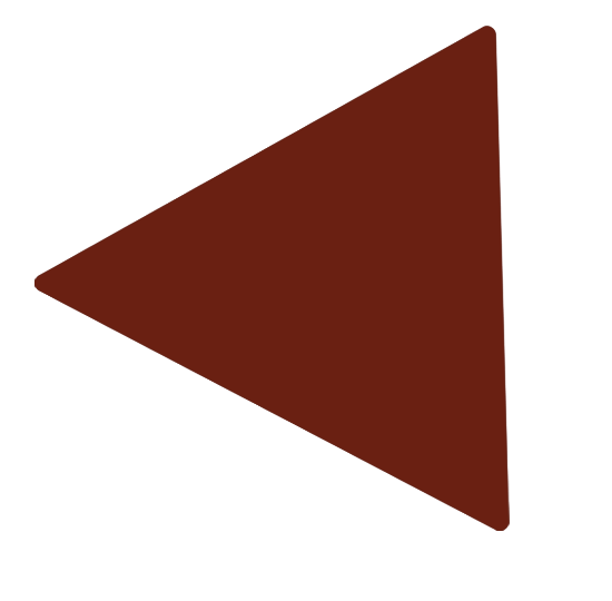 https://eivienature.rl2b.com/wp-content/uploads/2023/09/triangle_brown_066.png