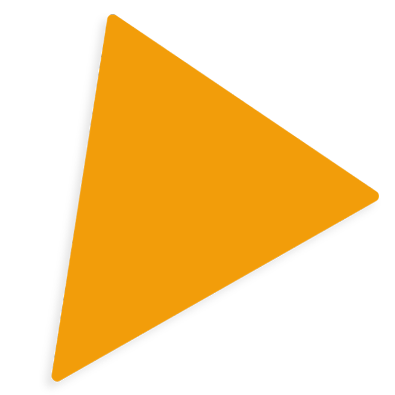 https://eivienature.rl2b.com/wp-content/uploads/2023/09/triangle_yellow_02-1.png